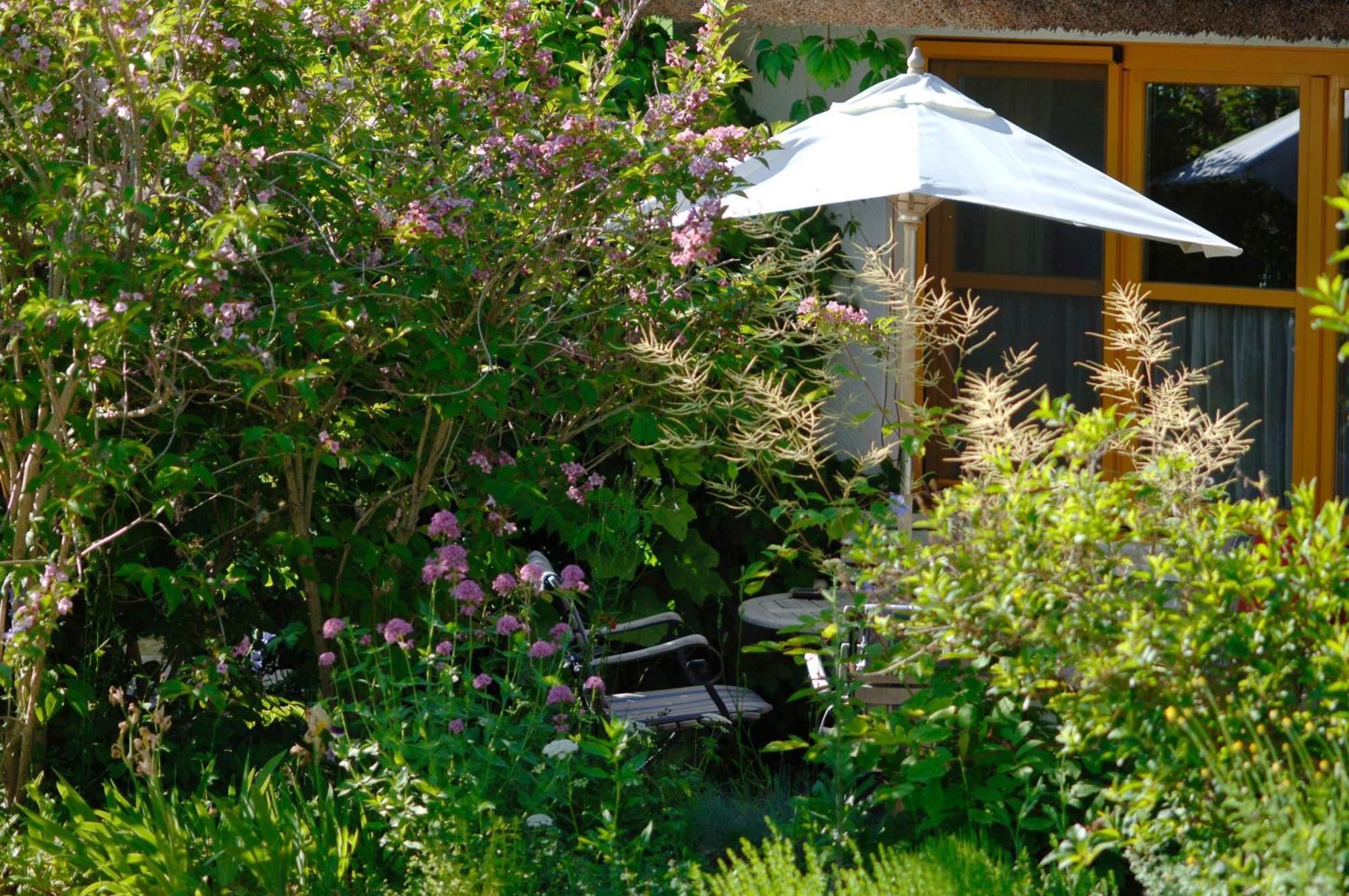 Ferienwohnungen Im Fischerdorf Und Neu Reddevitz Exterior photo